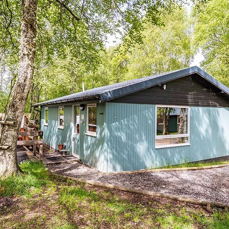 Heather Lodge 10 With Hot Tub Belladrum エクステリア 写真
